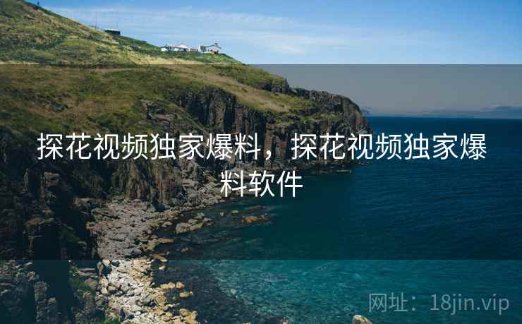 探花视频独家爆料,探花视频独家爆料软件
