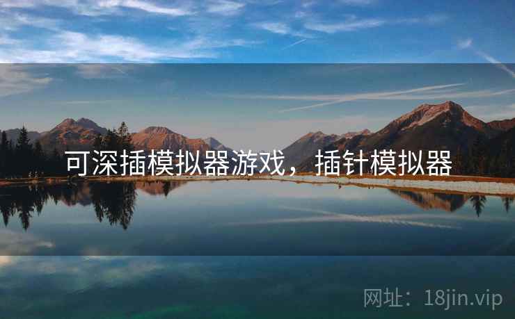 可深插模拟器游戏,插针模拟器